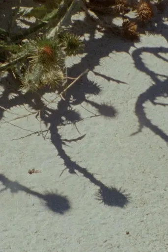 Subir e sumir poster