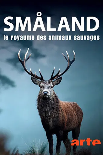 Vilda Småland poster