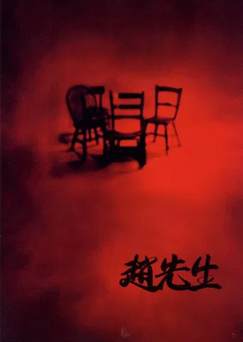 Mr. Zhao poster