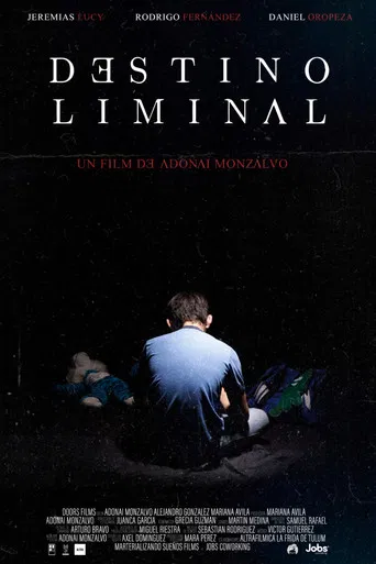 Destino Liminal poster
