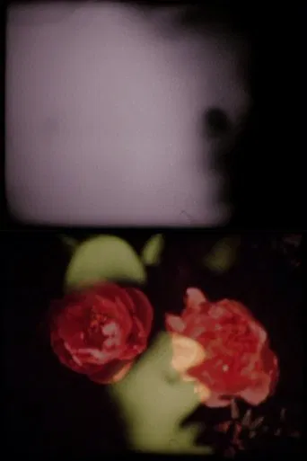 The Person of Whom I Think poster