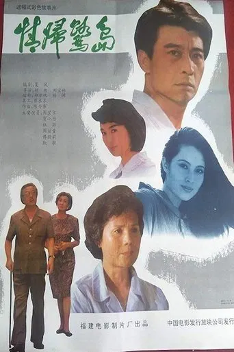 Coming Back to Xiamen poster