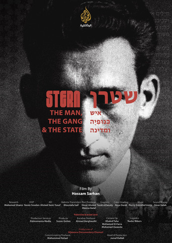 Stern: The man, The gang, and The State poster