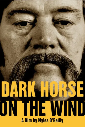 Dark Horse on the Wind poster