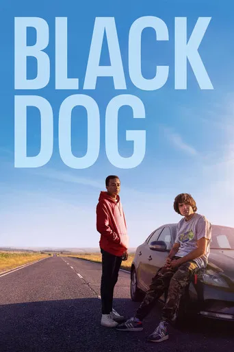 Black Dog poster