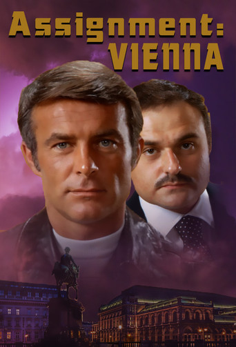 Assignment: Vienna poster
