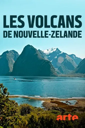 Vulkane in Neuseeland poster