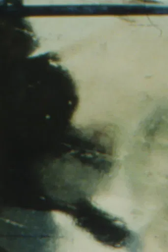 The Winter Footage poster