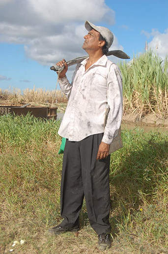 Brown Sugar Too Bitter for Me poster