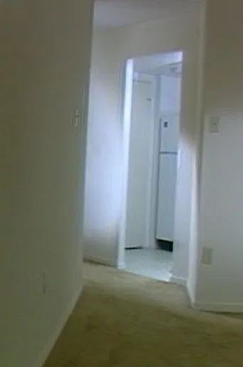 Within Dialogue (Silence) poster