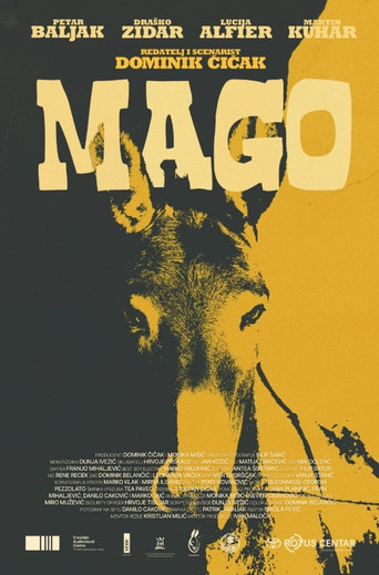Mago poster