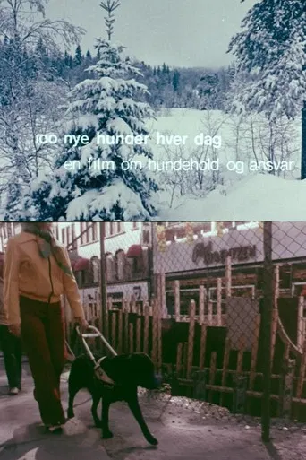 Oslofilm: Hundre nye hunder hver dag poster