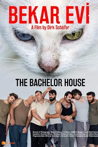 The Bachelor House poster