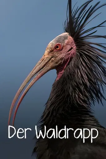 Der Waldrapp: Zugvogel im Aufwind poster