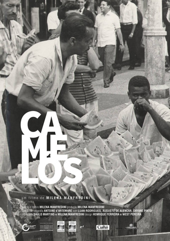 Camelôs poster