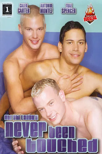 Never Been Touched poster