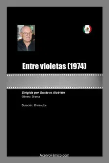 Entre violetas poster