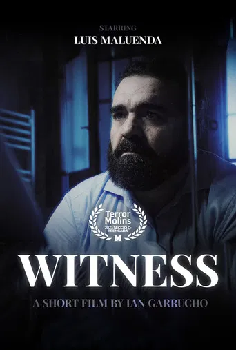 Witness poster