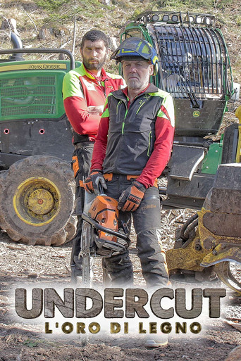 Undercut: l'oro di legno poster
