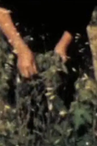 Stone Welcome Mat poster