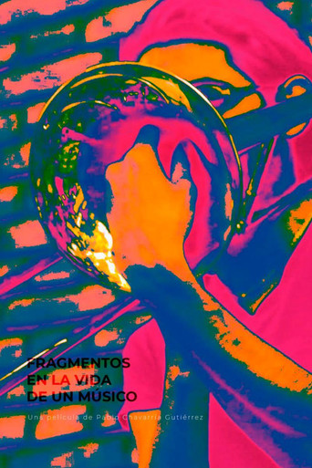 Fragments in a Musician's Life poster