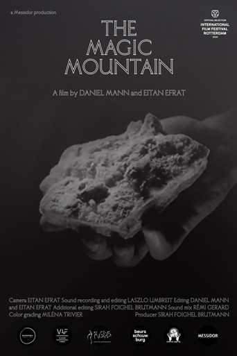 The Magic Mountain poster