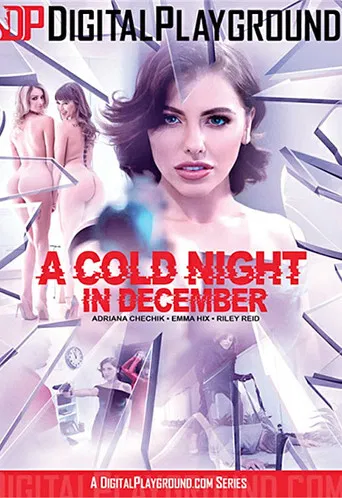 A Cold Night in December poster
