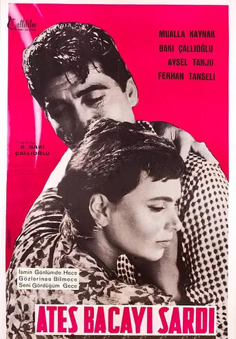 Ateş Bacayı Sardı poster