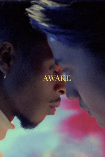 Awake poster