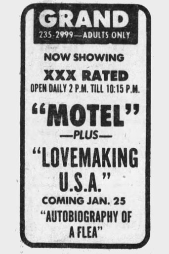 Lovemaking U.S.A. poster