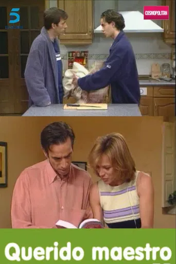 Querido maestro poster