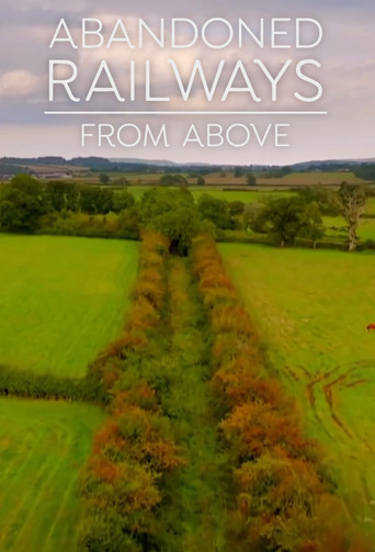 Abandoned Railways from Above poster
