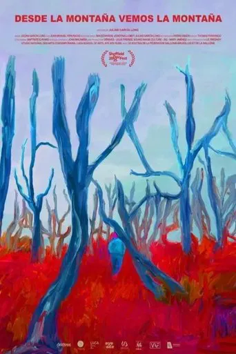 From the Mountain We See the Mountain poster