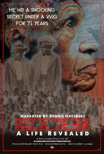 Hole in the Head: A Life Revealed poster