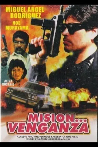 Misión venganza poster