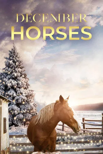 December Horses poster