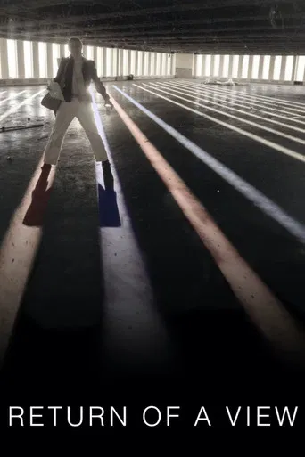 Return of a View poster