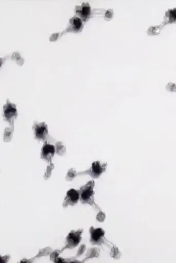 Untitled Sound Objects poster