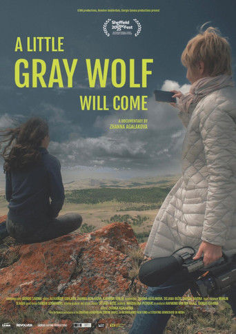 A Little Gray Wolf Will Come poster