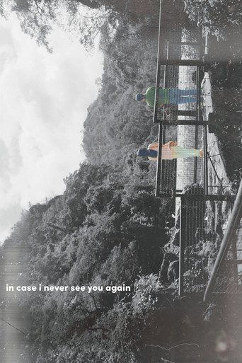 in case i never see you again poster