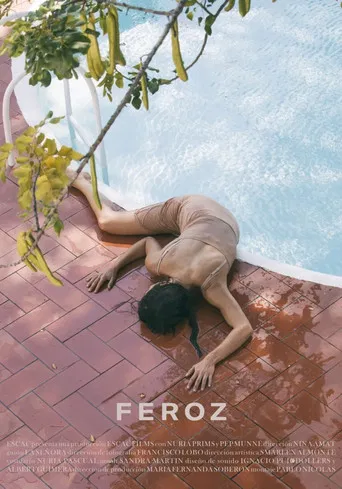 Feroz poster