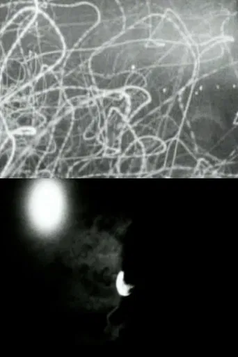 D - Non diversi giorni si pensa splendessero alle prime origini del nascente mondo o che avessero temperatura diversa poster