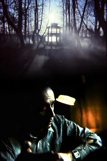 Hryhoriy Havrylenko. The Bright Figure poster