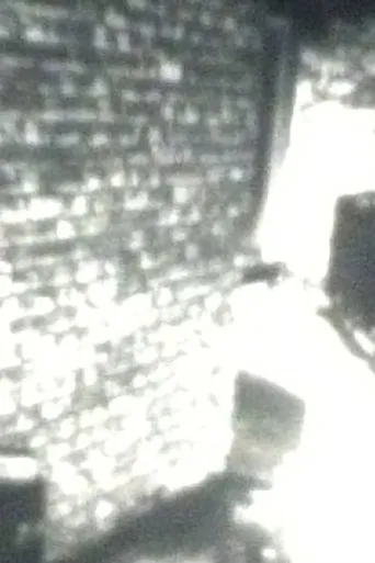 Stillness of the Garden poster