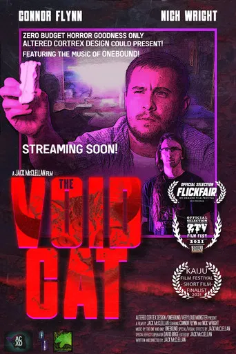 The Void Cat poster