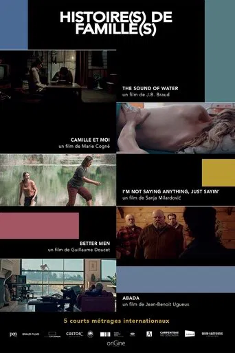 Histoire(s) de Famille(s) poster