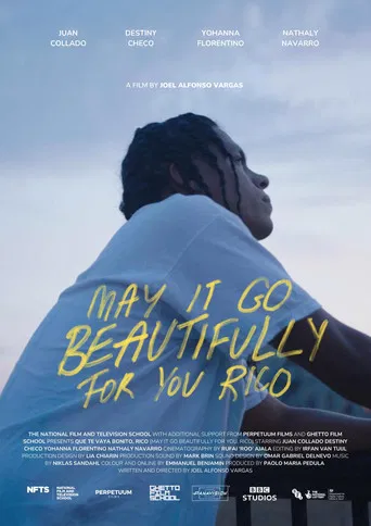 May It Go Beautifully for You, Rico poster