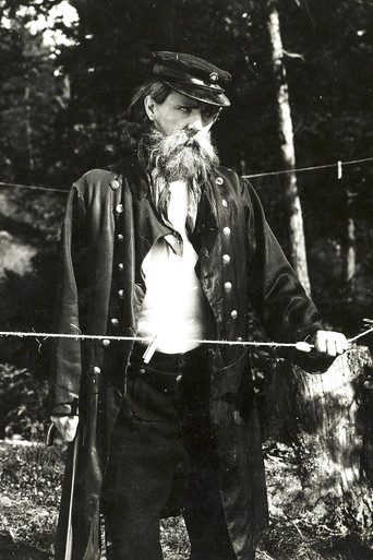 Den glade enke i Trangvik poster