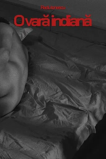 O vară indiană poster