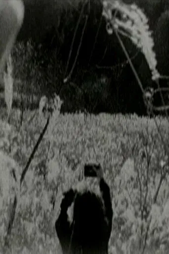 Chichibu Rest poster